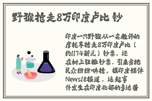 黄沙视频在线观看WWW免费下载